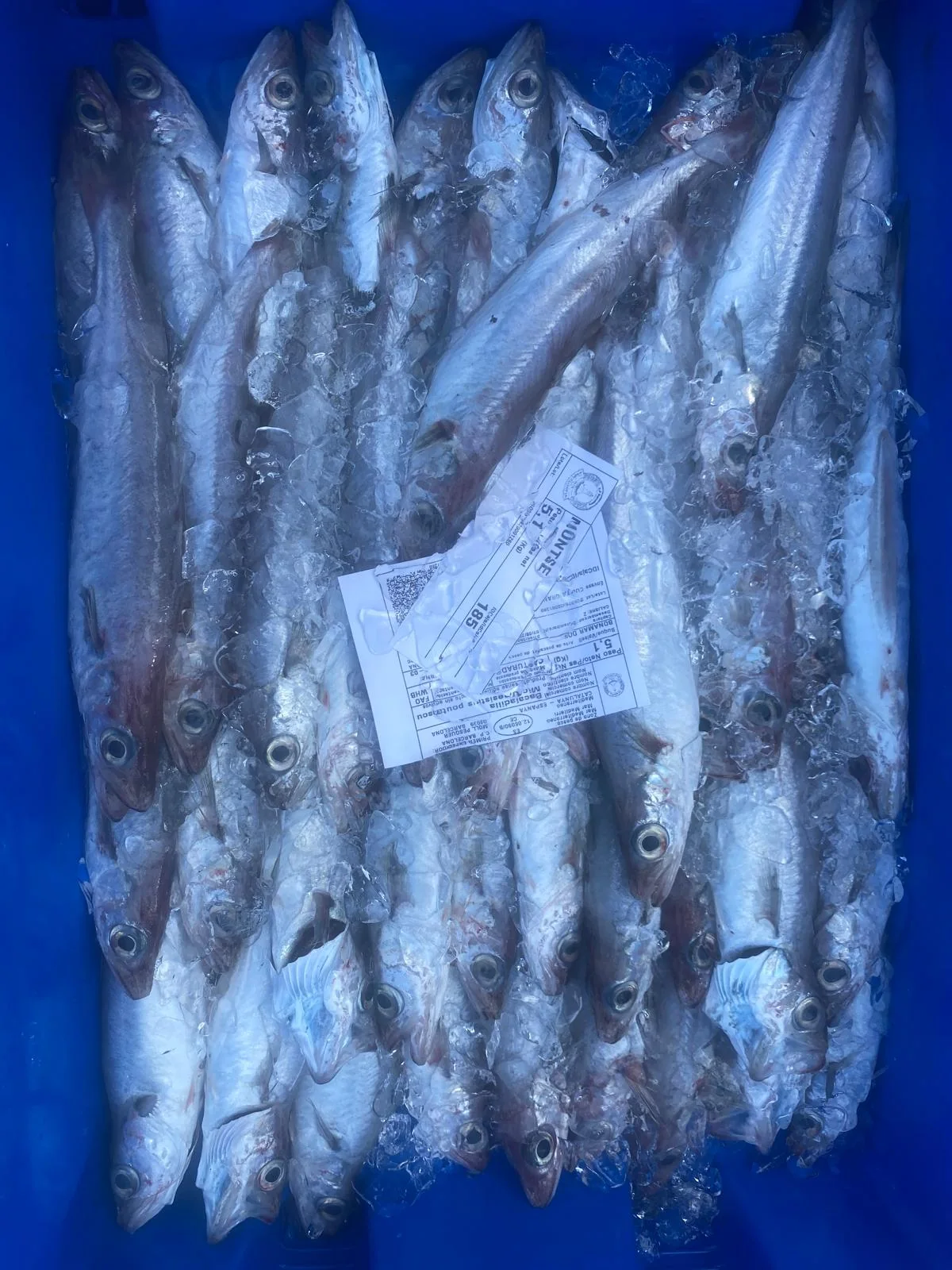 Caja de pescado plateado de la lonja de Barcelona